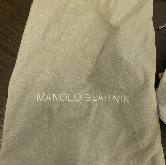 Manolo Blahnik Hangasi 105 Blue Lace - Picture 8 of 10